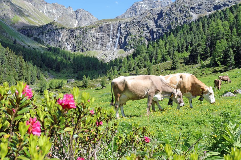 فوندس Pension Fuchs المظهر الخارجي الصورة